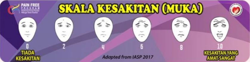Skala Kesakitan